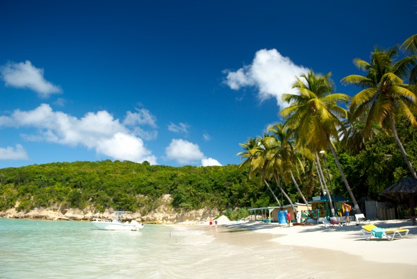 Starfish Halcyon Cove Resort