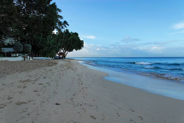 Treasure Beach Hotel