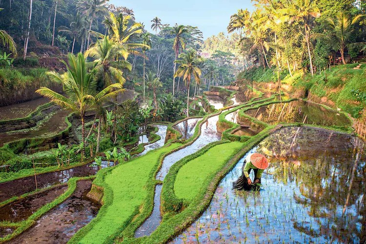 Circuit Bali Essentiel